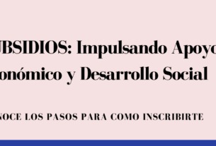 SUBSIDIOS: Impulsando Apoyo Económico y Desarrollo Social