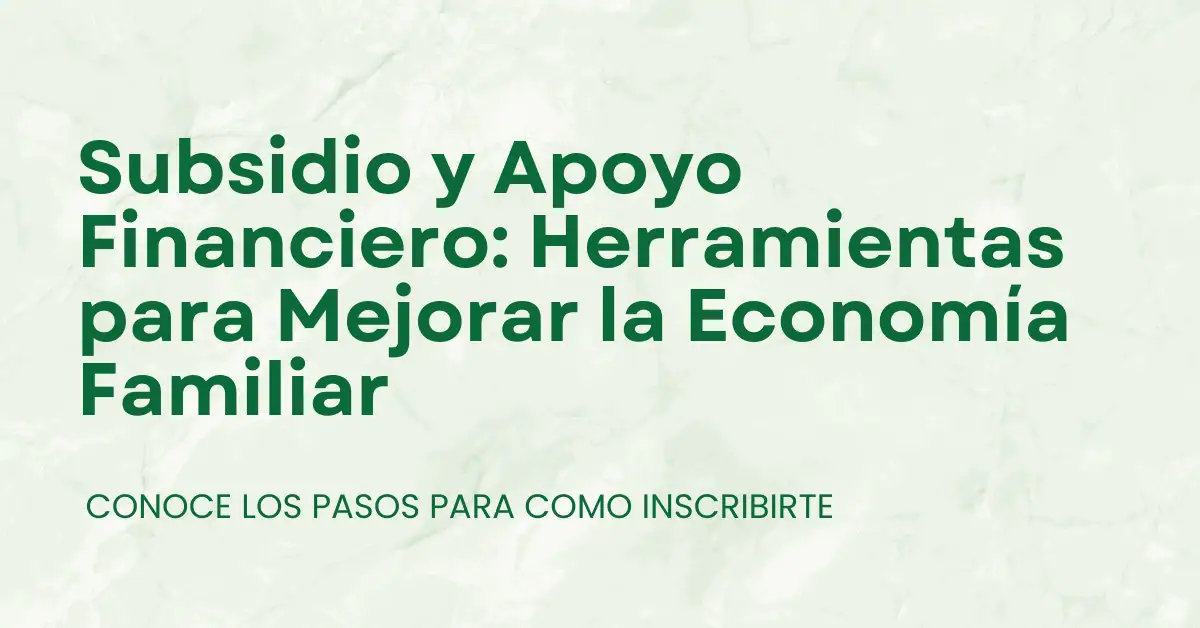 Subsidio y Apoyo Financiero: Herramientas para Mejorar la Economía Familiar